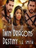Twin_Dragons__Destiny