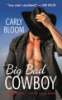 Big_bad_cowboy