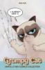 Grumpy_Cat_awful-ly_big_comics_collection