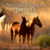 Second-Chance_Horses