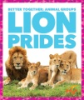 Lion_prides