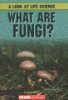 What_are_fungi_