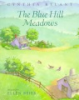 The_Blue_Hill_meadows