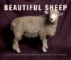 Beautiful_sheep