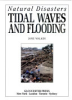 Tidal_waves_and_flooding
