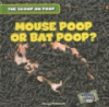 Mouse_poop_or_bat_poop_