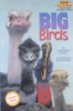 Big_birds