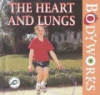 The_heart_and_lungs