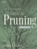 An_illustrated_guide_to_pruning