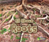 All_about_roots