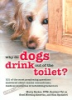 Why_do_dogs_drink_out_of_the_toilet_