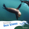 Swimming_with_sea_lions