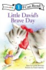 Little_David_s_brave_day