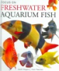 Focus_on_freshwater_aquarium_fish
