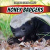 Honey_badgers