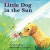 Little_dog_in_the_sun