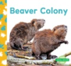 Beaver_colony
