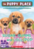 Sugar__Gummi__and_Lollipop