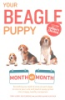 Your_beagle_puppy_month_by_month