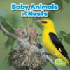 Baby_animals_in_nests