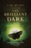 The_brilliant_dark