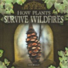 How_plants_survive_wildfires