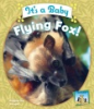 It_s_a_baby_flying_fox_