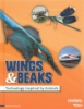 Wings___beaks