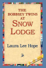 The_Bobbsey_Twins_at_Snow_Lodge