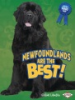 Newfoundlands_are_the_best_