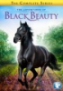 The_adventures_of_Black_Beauty