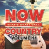 Now_that_s_what_I_call_country_volume_11