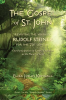 The_Gospel_of_St__John_-_Revisiting_the_Vision_of_Rudolf_Steiner_for_the_21st_Century