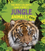 The_Most_Colorful__and_Stripey__Jungle_Animals_Ever