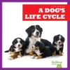 A_Dog_s_Life_Cycle