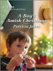 A_Boy_s_Amish_Christmas