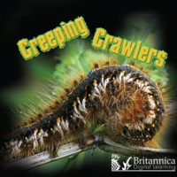 Creeping_Crawlers