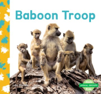 Baboon_troop
