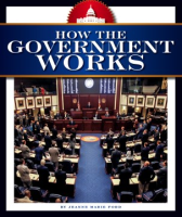 How_the_government_works