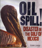 Oil_spill____disaster_in_the_Gulf_of_Mexico