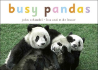 Busy_pandas