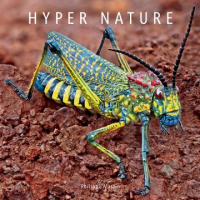 Hyper_nature