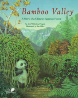 Bamboo_valley
