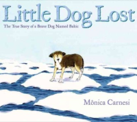 Little_dog_lost