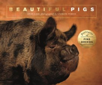 Beautiful_Pigs