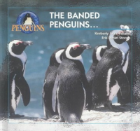 The_banded_penguins
