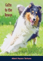 Collie_to_the_rescue