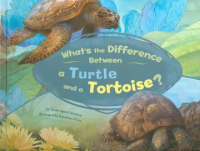 What_s_the_difference_between_a_turtle_and_a_tortoise_