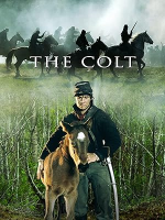 The_colt