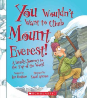 You_wouldn_t_want_to_climb_Mount_Everest____a_deadly_journey_to_the_top_of_the_world